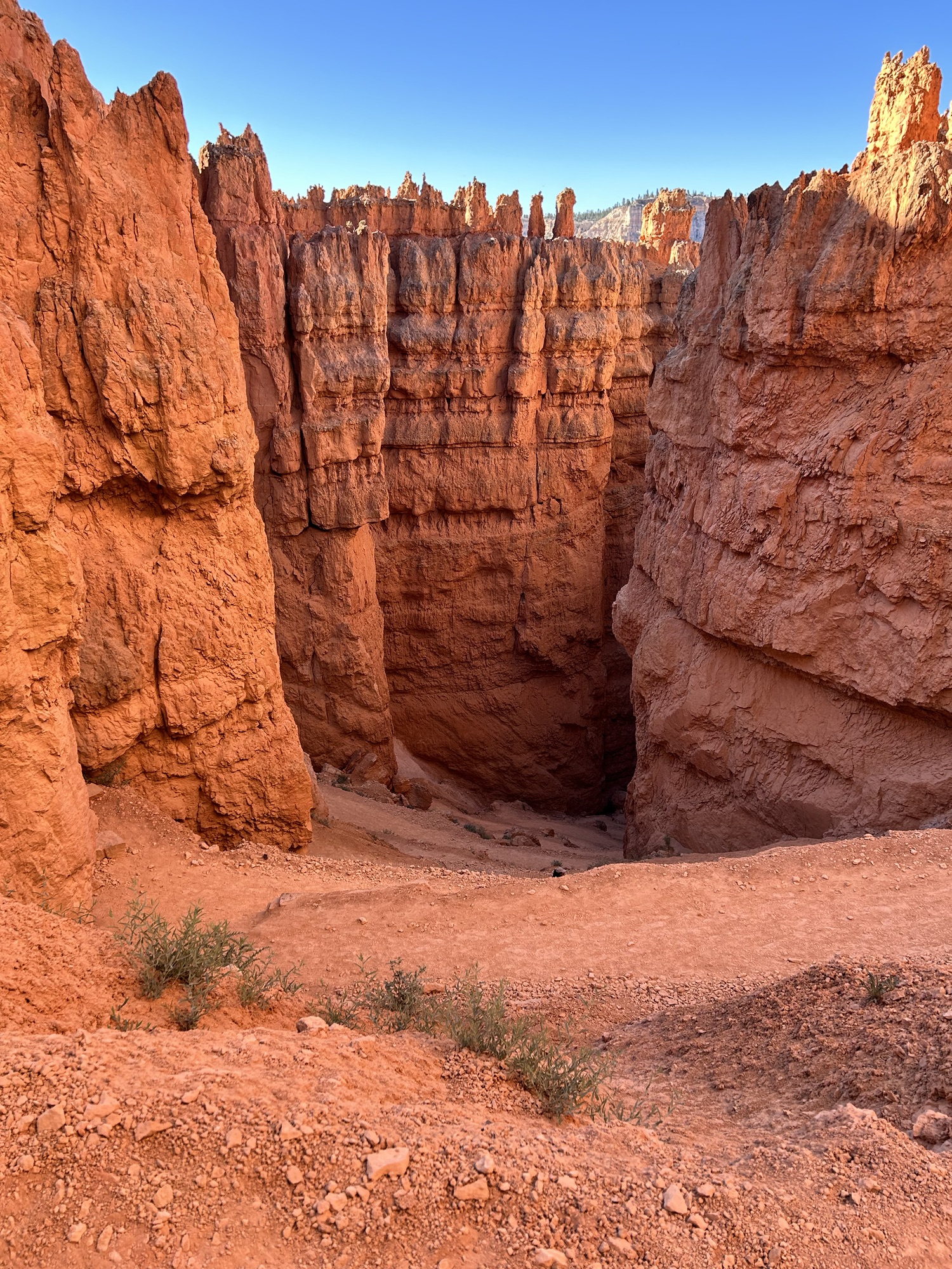 Bryce Canyon Hike: The Quickest of Loops